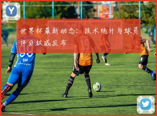 世界杯最新动态：技术统计与球员评分权威发布