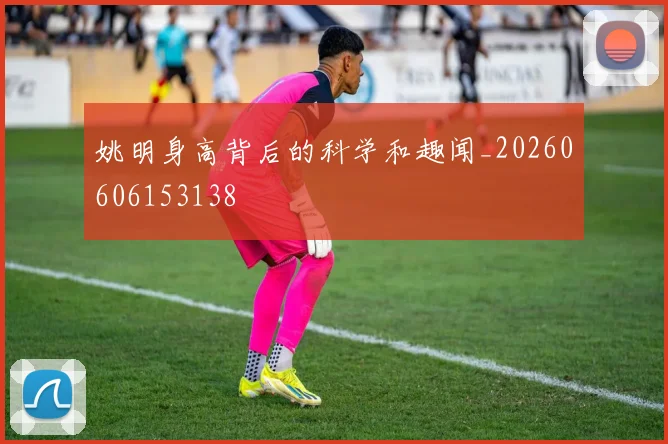 姚明身高背后的科学和趣闻_20260606153138